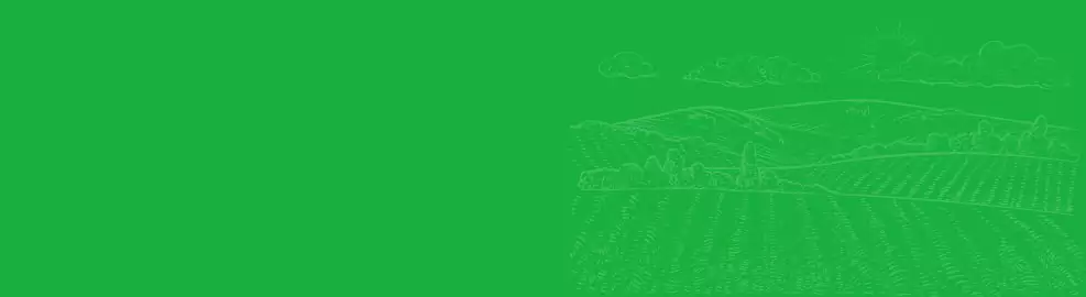 Greenfood Contact Farm